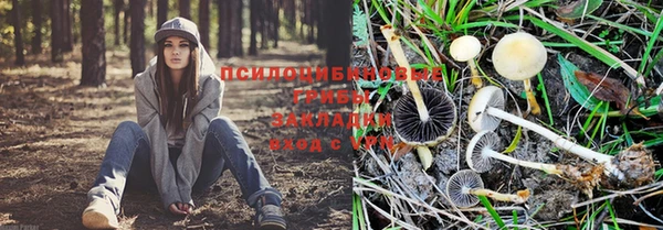 СК Заволжск