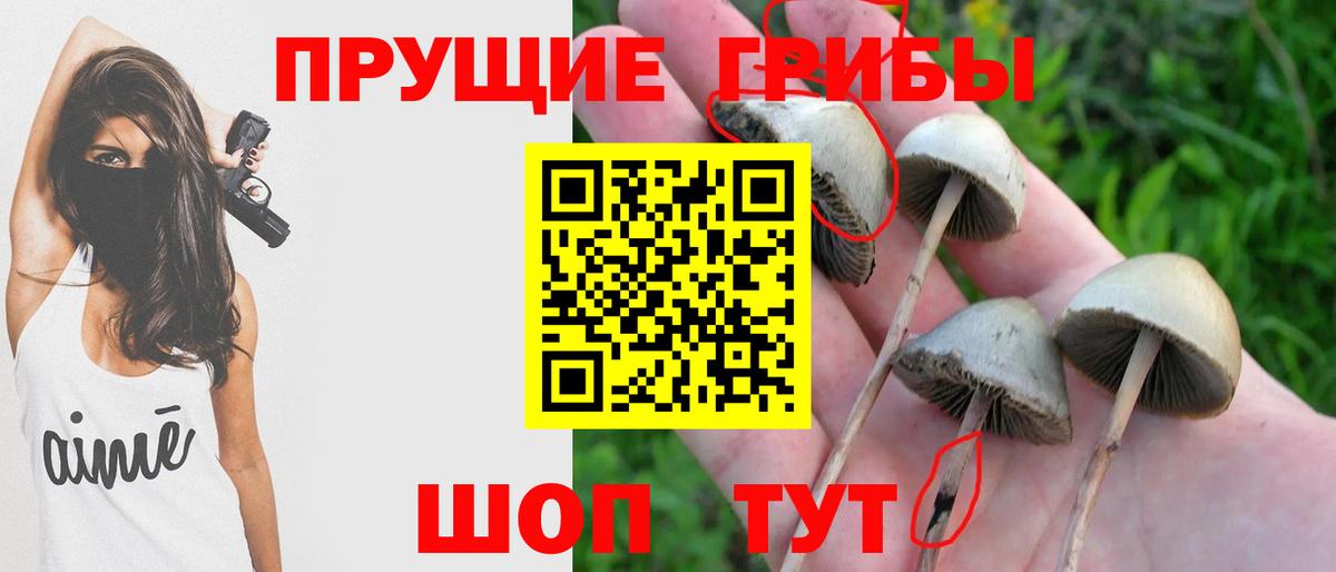 Псилоцибиновые грибы GOLDEN TEACHER Иркутск