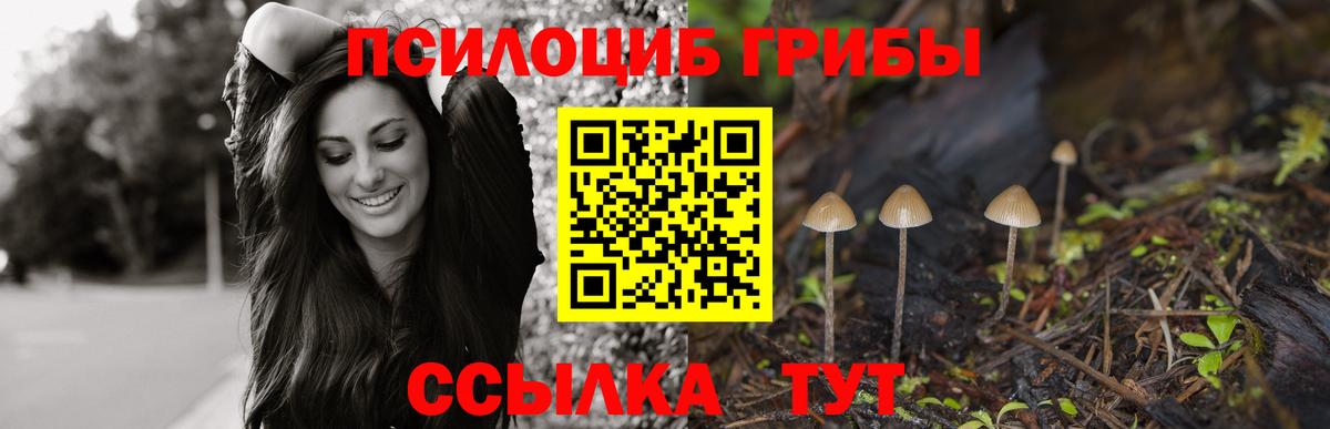 Галлюциногенные грибы GOLDEN TEACHER  Псилоцибиновые грибы ЛСД  Вход с VPN  Иркутск 