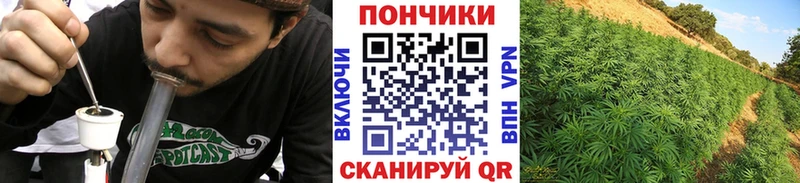 Каннабис конопля  магазин  наркотиков  Иркутск 